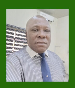 Mr. Vincent Chuka ENEH